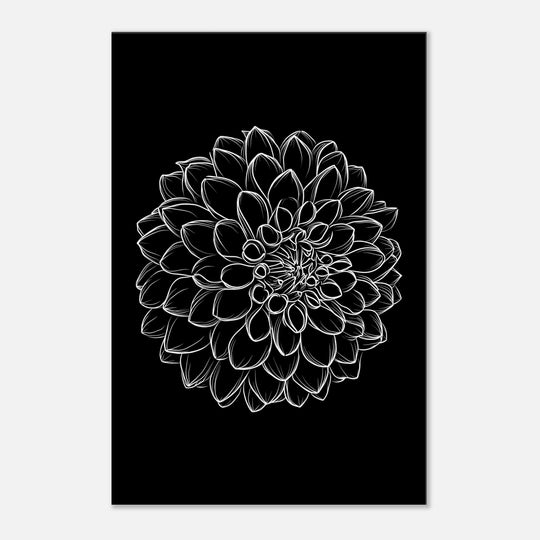 56da1576-3738-4b4b-b546-cca63b1489db