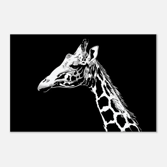 56f71105-5bbc-402d-a003-f372ffb1ee9d