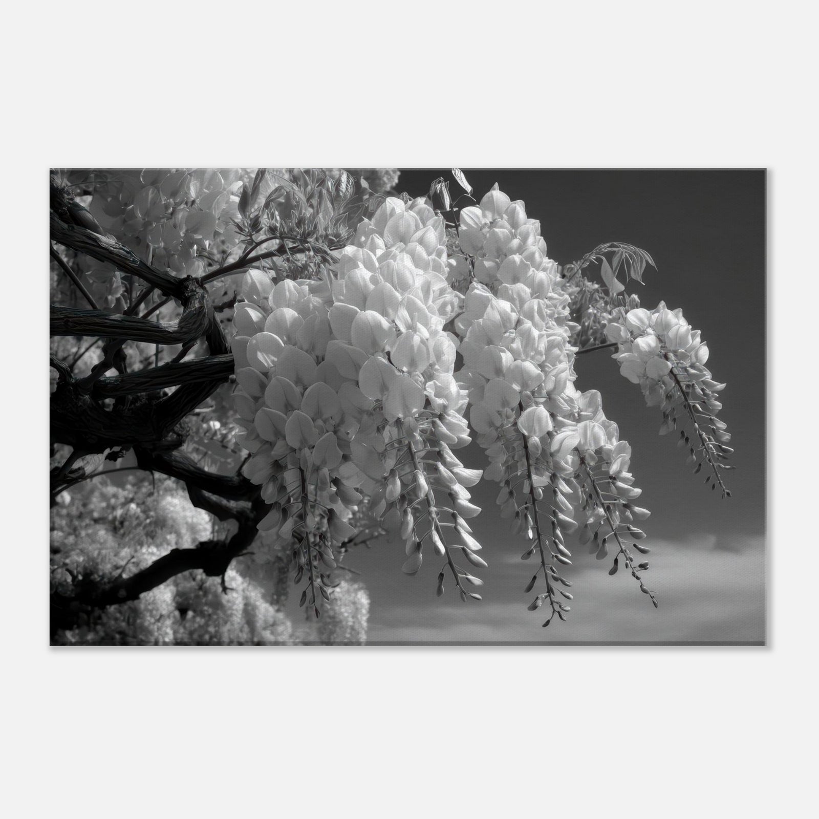 573ac204-adf1-4b0c-87e1-a16c318cdbce