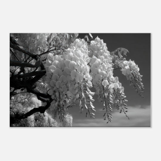 573ac204-adf1-4b0c-87e1-a16c318cdbce