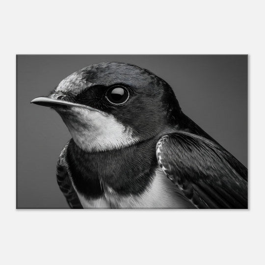 58007ab5-3ea1-48a1-9435-979ec35af4b9