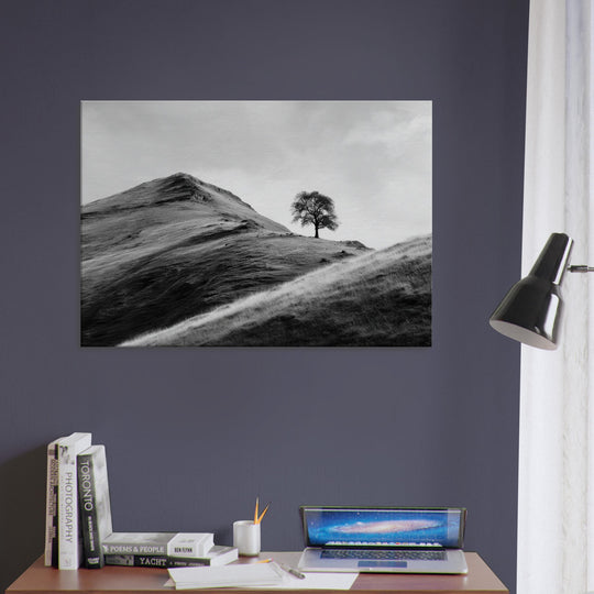 592ec610-e6ff-45af-8aa8-71550a359f6f