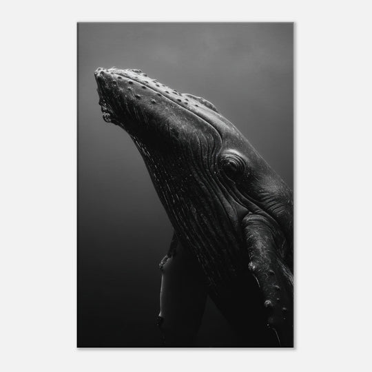 5a238e4b-e650-43ac-be0d-ab819126b95b