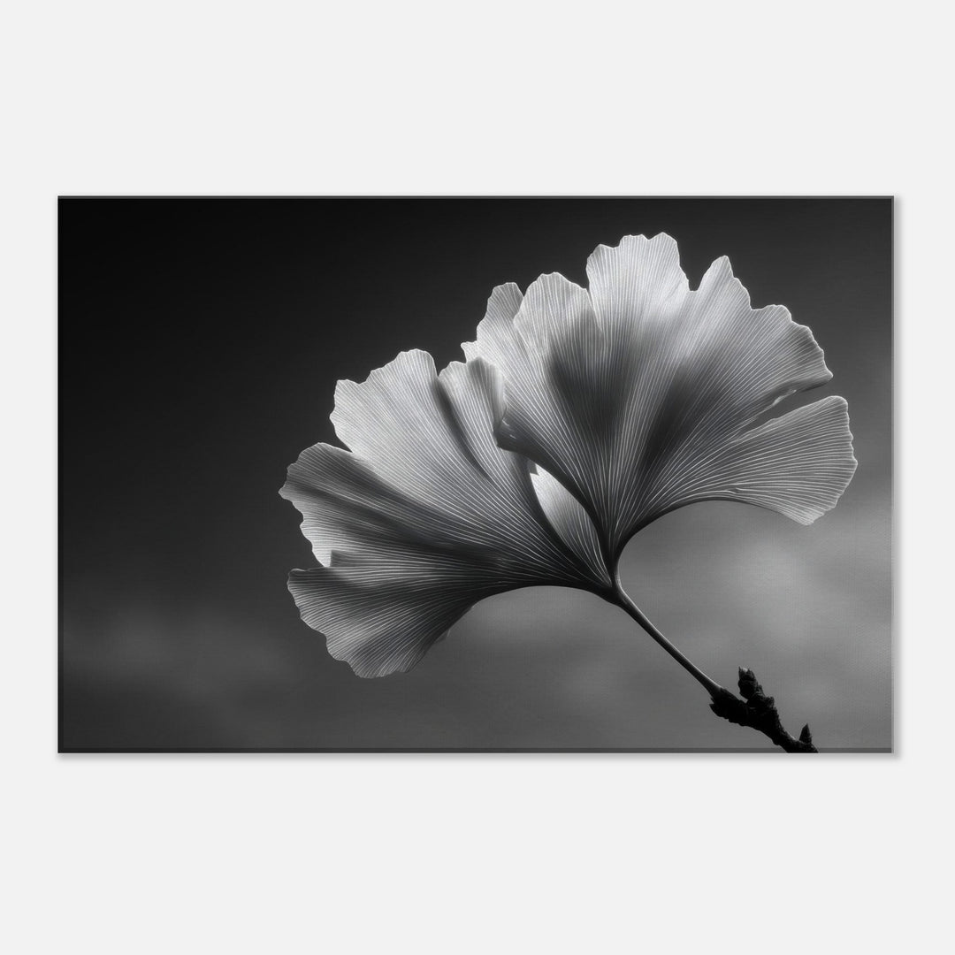 5a531706-21c9-4b9f-a654-395e2bd6a08d