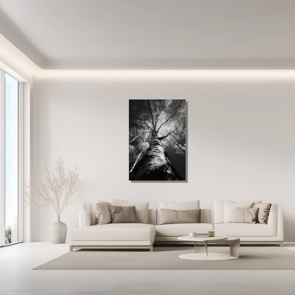 5a566075-4e69-485e-b9a7-aa397f27e884