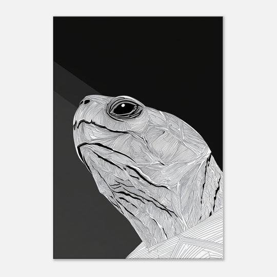 5ae87dfb-fae5-4fb0-9ca4-cb386d92267a