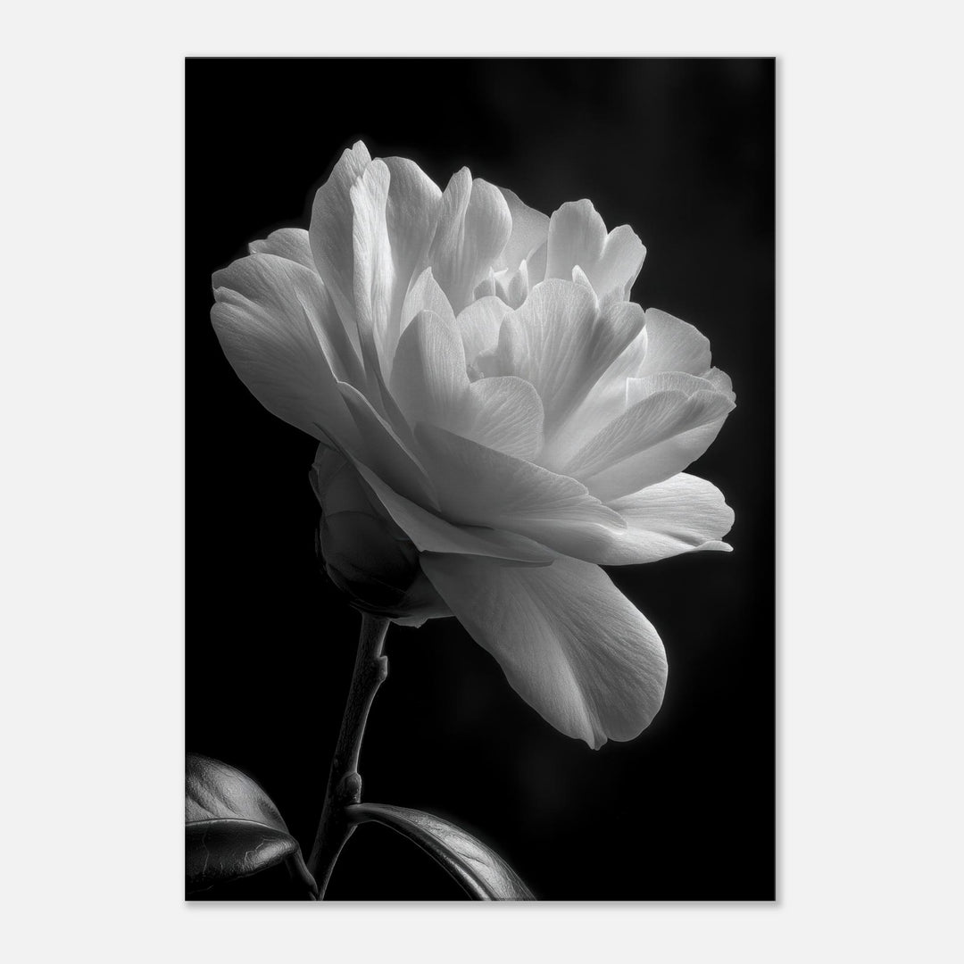 5b0b26d8-9732-417f-8f81-4fe8dd763b90