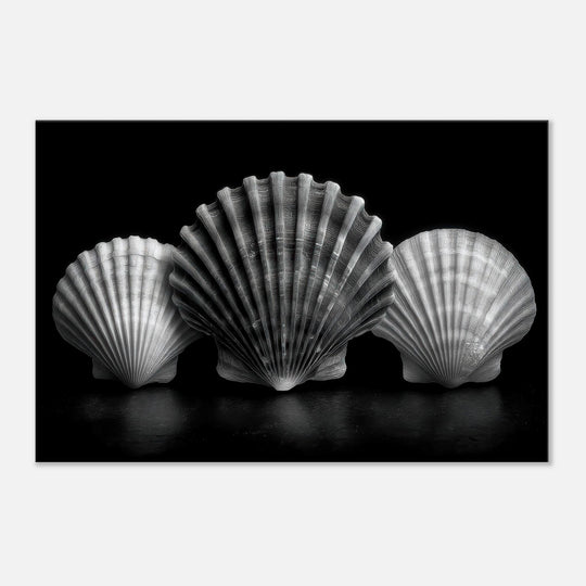 5b8fb71c-3610-4ac7-a92e-916651d781b1