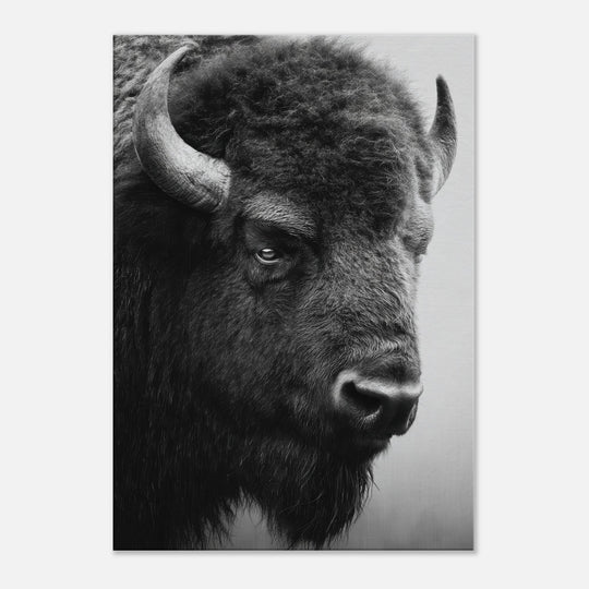 5be77bac-f8e5-44c9-be35-37815aa6eb44