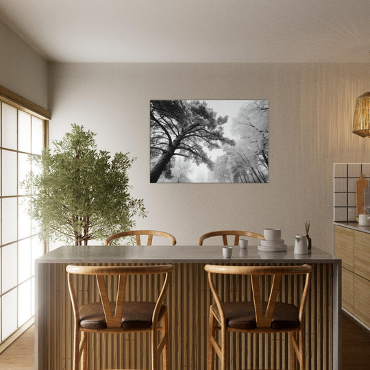 5c313daa-8229-45e4-b28d-6001ef9e7432