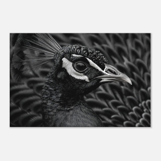 5c441496-5ed7-4de7-9f2e-e9c0866a09fb