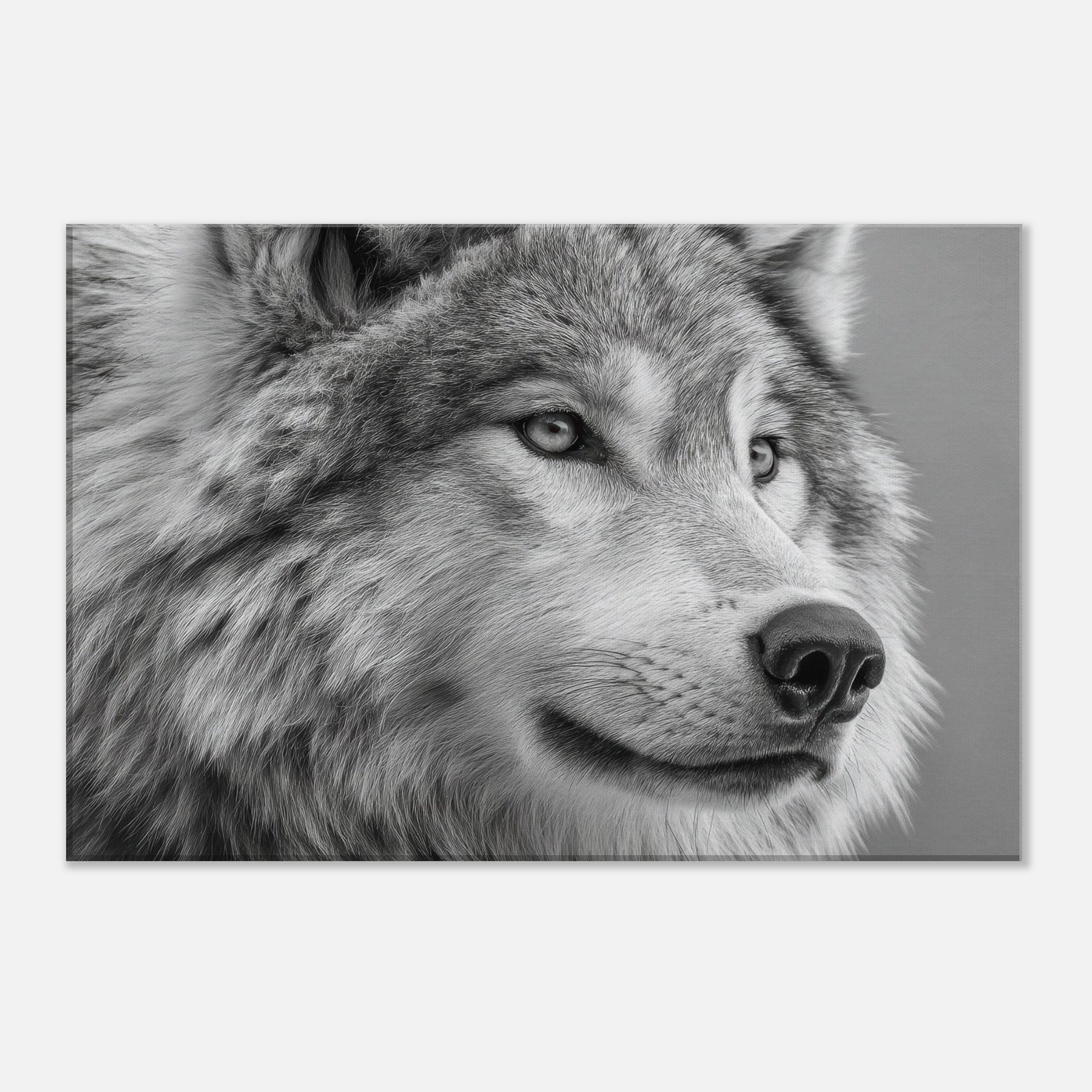 5d47d82f-5f90-43ab-80f9-56062852bba0