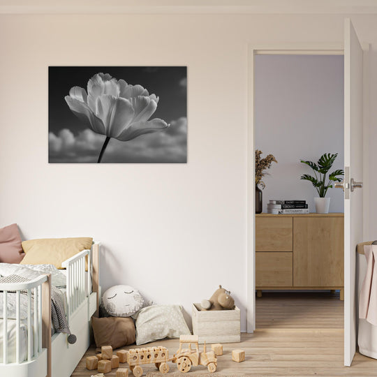 5d480987-1b4d-4c09-aa52-56a35681929b