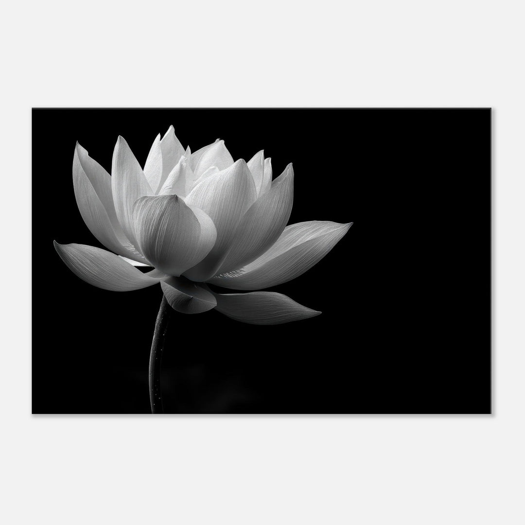 5d4b53b0-b7a2-4758-a999-9a84e466d07e