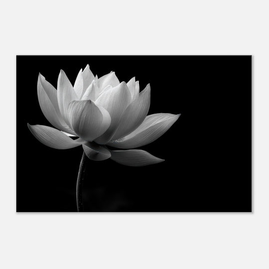 5d4b53b0-b7a2-4758-a999-9a84e466d07e