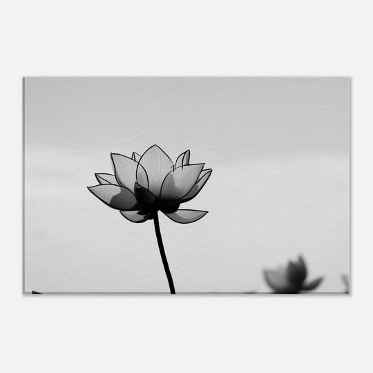 5da5564a-2b83-49ee-8efc-c476b507140c