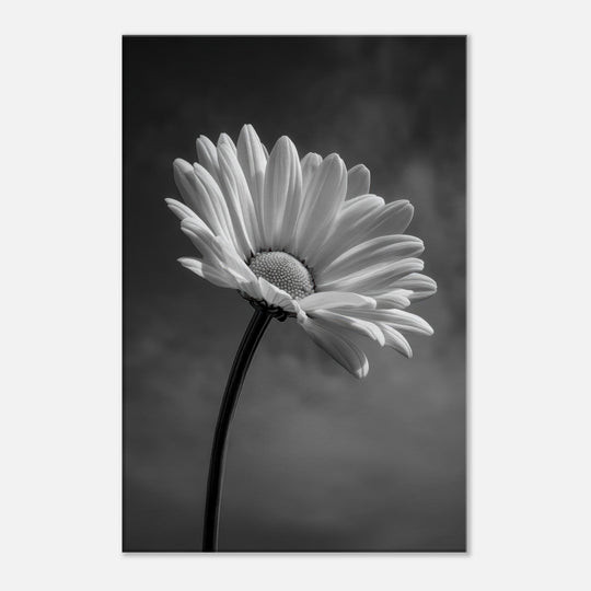 5db1efe2-8a35-4145-ba18-0daef2c2f7a2