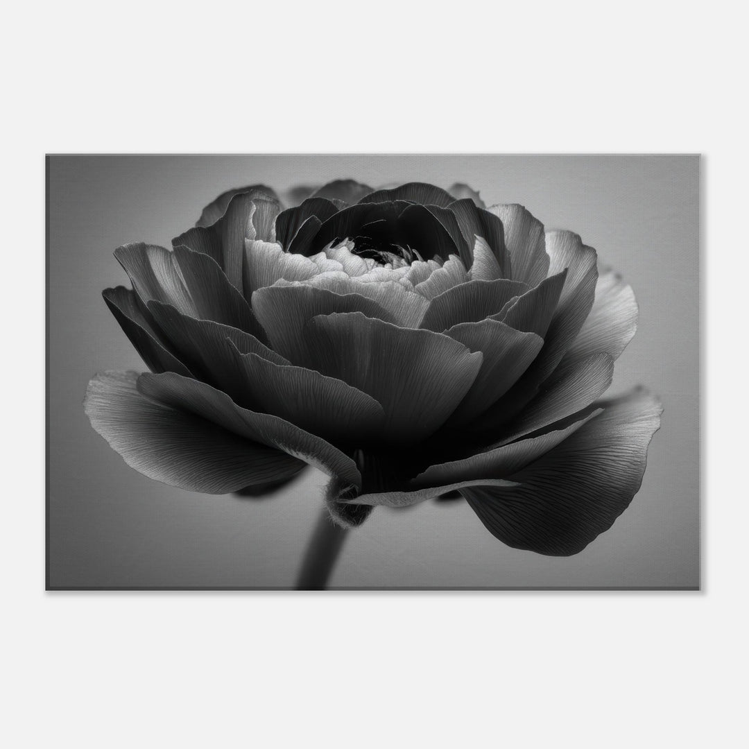 5e08ae73-0e9d-4101-a670-a62d8ad08da4