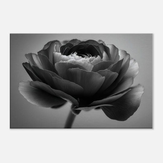 5e08ae73-0e9d-4101-a670-a62d8ad08da4