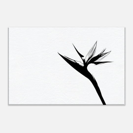 5e2d7885-97a3-472b-a298-8c72539fd5cc