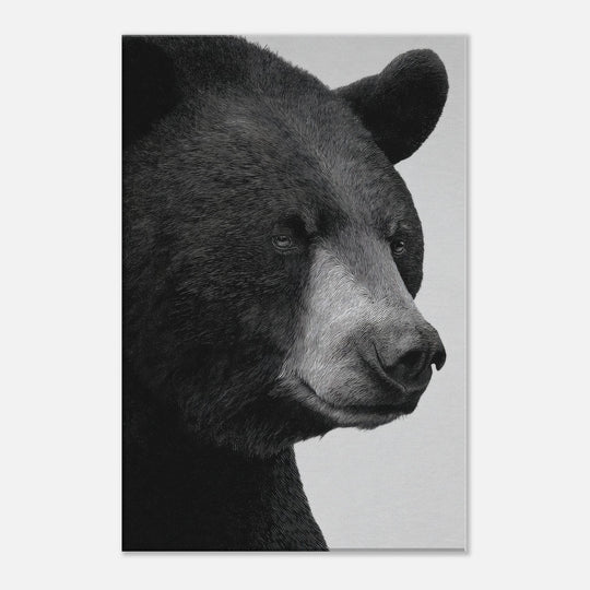 5e830bed-b249-45c5-a851-e80cfc2a22ba