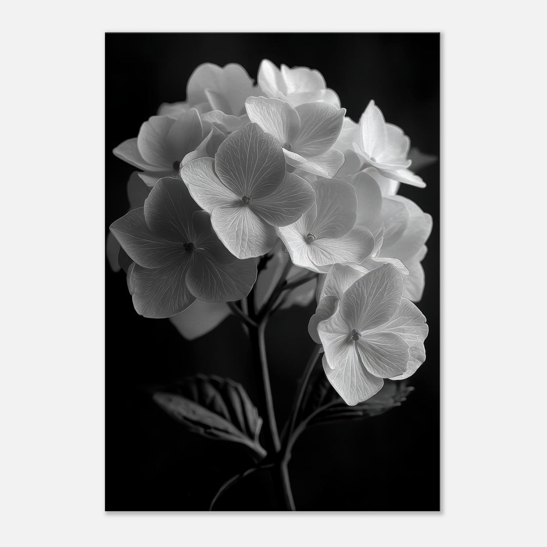 5f2f1c52-0e2f-47cd-81fa-7c8a50aef6e8