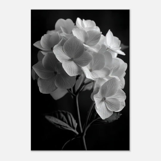 5f2f1c52-0e2f-47cd-81fa-7c8a50aef6e8