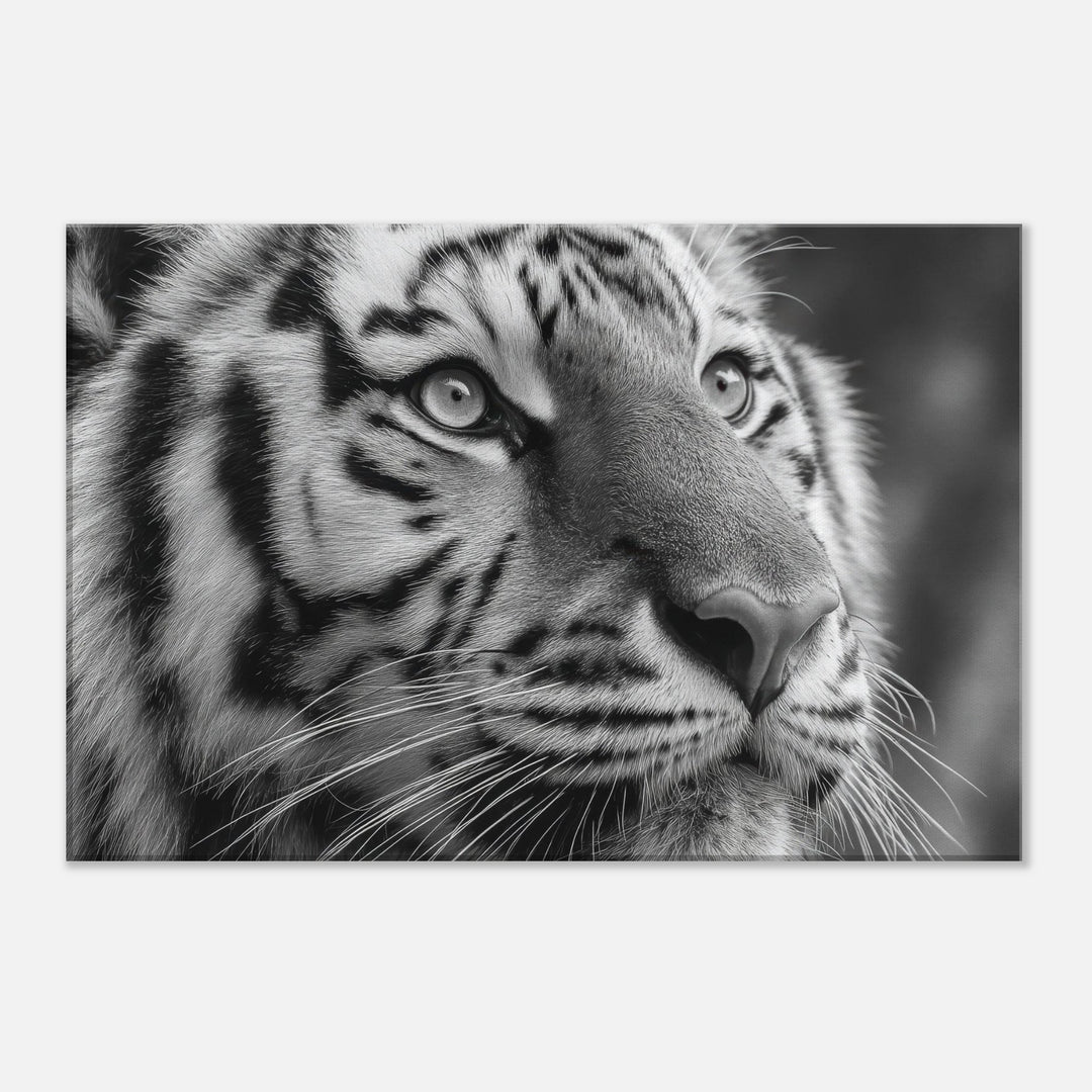 5f3d414d-4476-4983-a09c-091df06b58ee