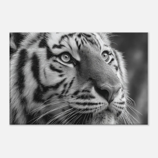 5f3d414d-4476-4983-a09c-091df06b58ee