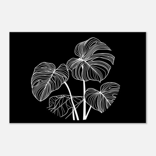 5f411ef6-23c1-4843-9fff-3ddc07dfb9f1