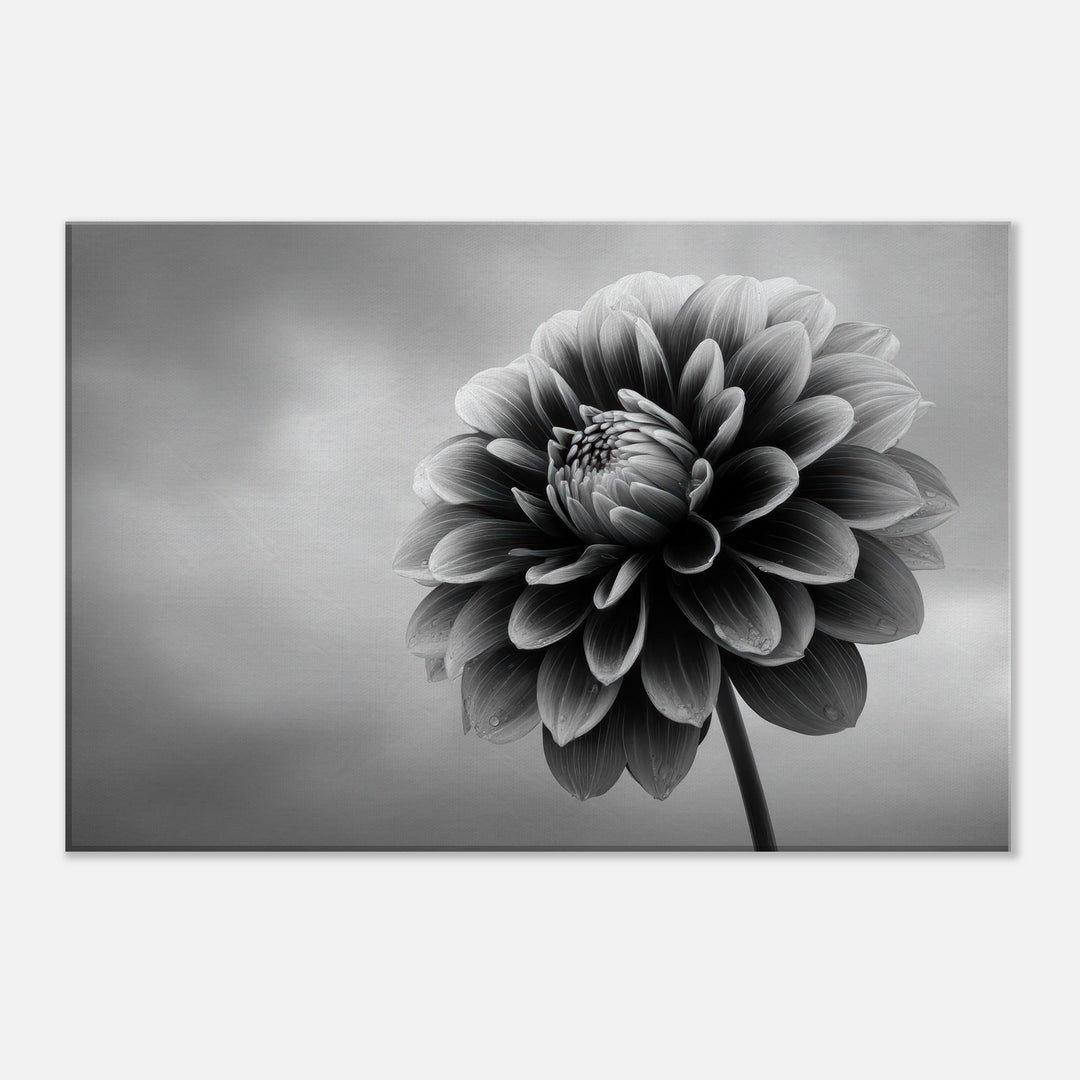 5fcb6332-c609-4691-ba41-9f833463e88b