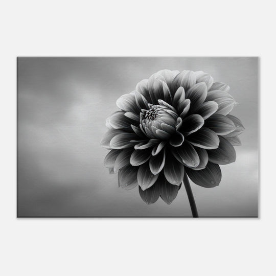 5fcb6332-c609-4691-ba41-9f833463e88b