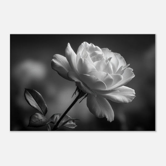 60c529b5-7104-46bf-a77a-866a7b442591