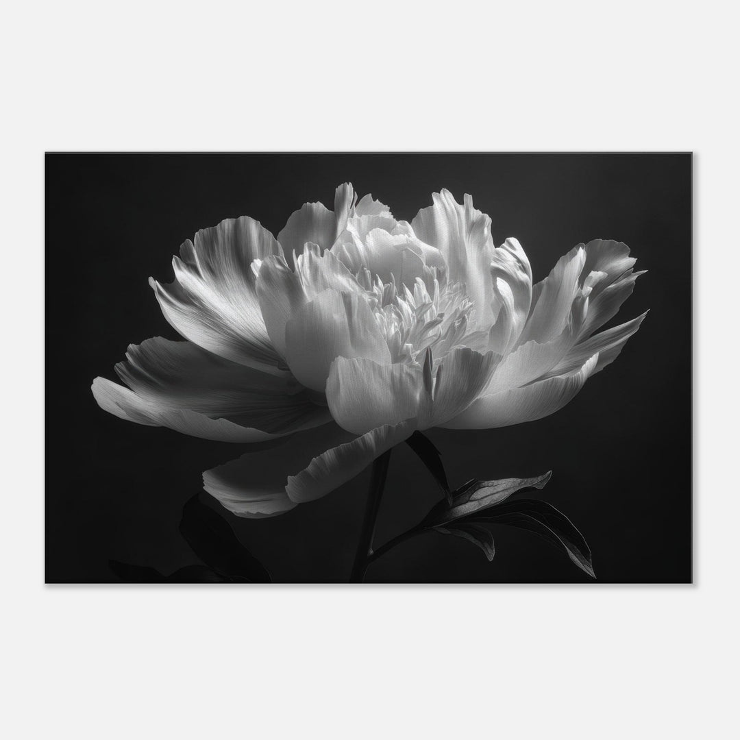 618fe0d5-abbe-4361-afa5-c920012f8200