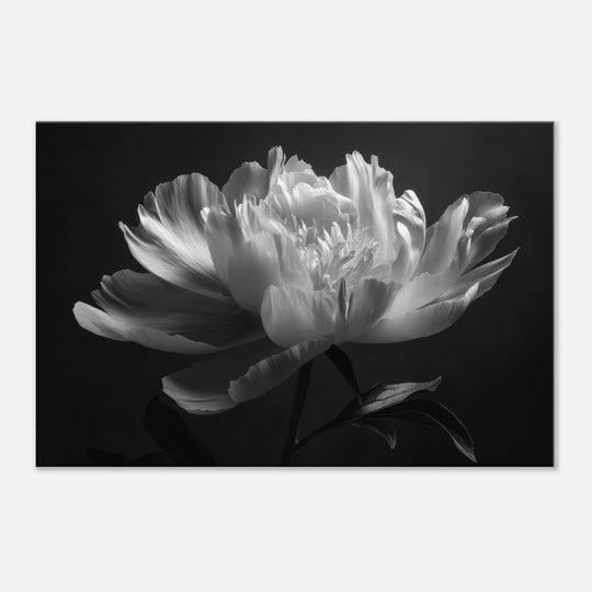 618fe0d5-abbe-4361-afa5-c920012f8200