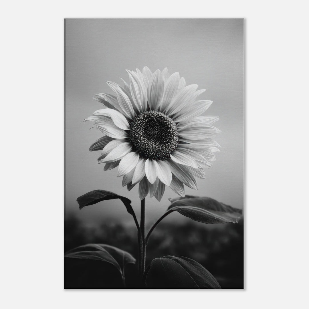 620233cc-14ff-4ad3-8364-606b075d2a5a