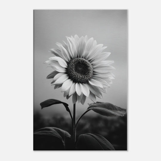 620233cc-14ff-4ad3-8364-606b075d2a5a