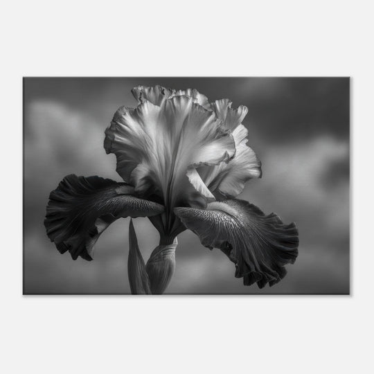 6215ecef-665c-4778-afcc-2991a0e7e808