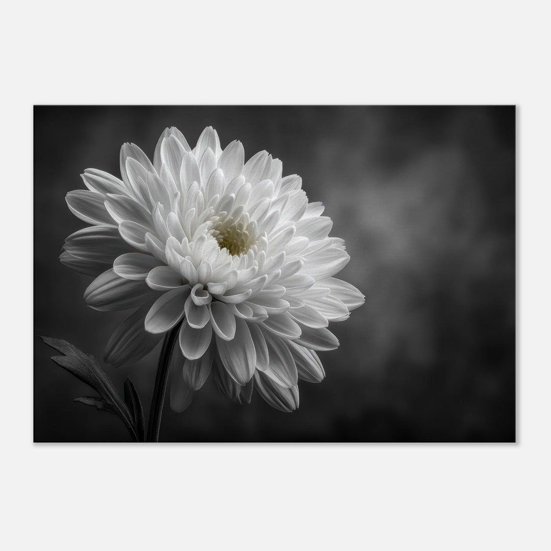 62160f94-5238-4f76-8128-3efa511d579a