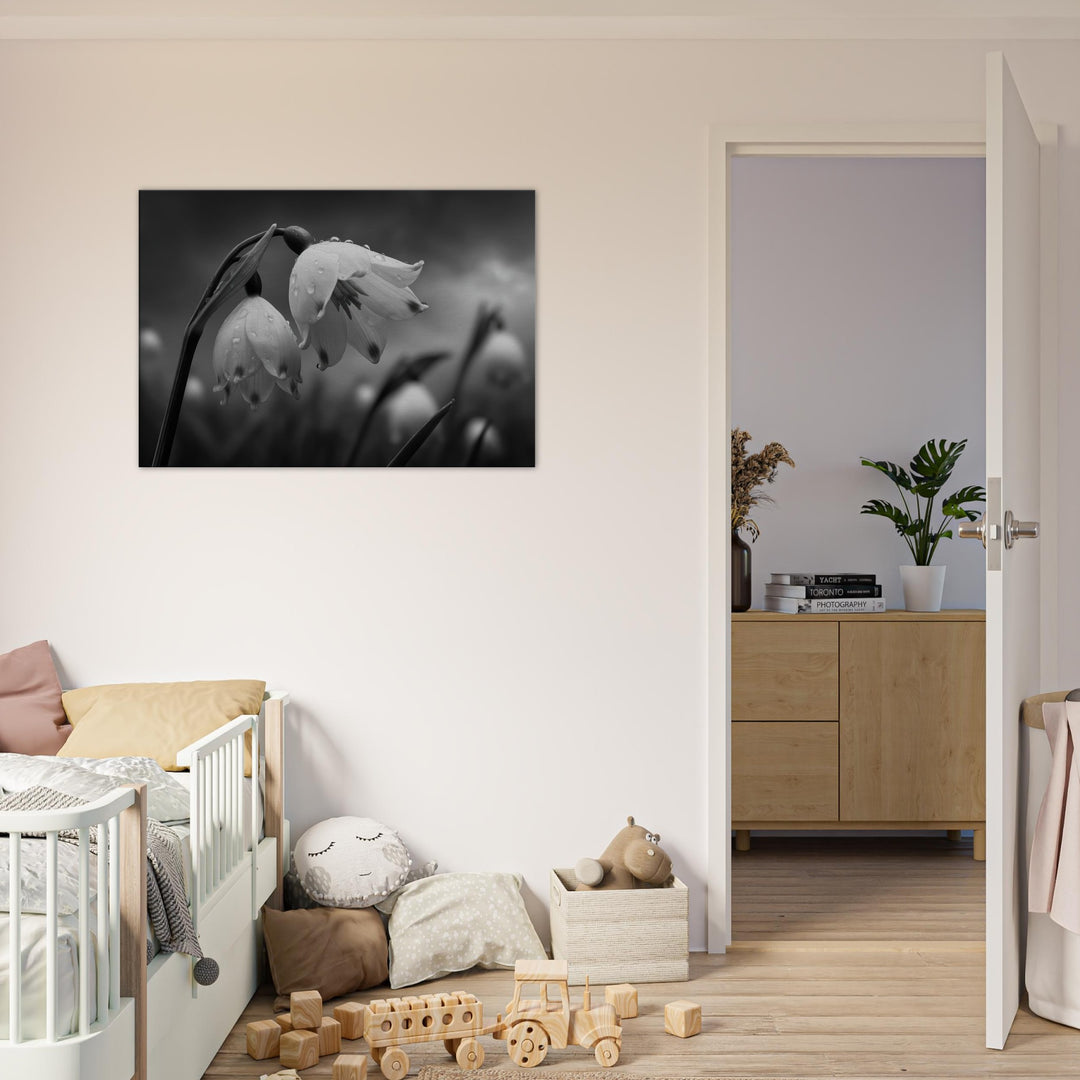 6241397d-ee23-4a88-8f58-3e50ba03a149