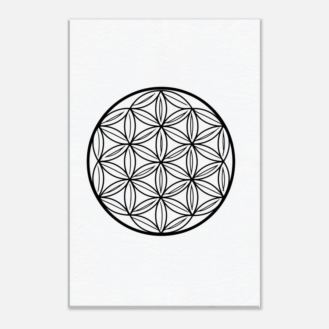 6351c0c5-04df-4162-9377-0ac39adf8f7a