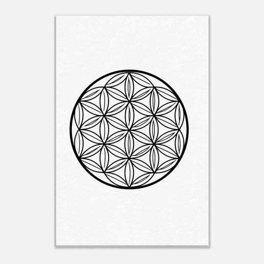 6351c0c5-04df-4162-9377-0ac39adf8f7a