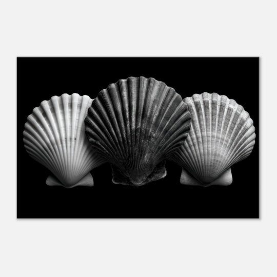 6374bf21-a562-47ee-8a7d-0e80d9cc5315