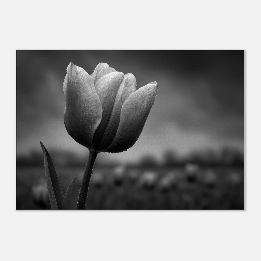 64302969-bbee-4786-bd78-168a1caa3888