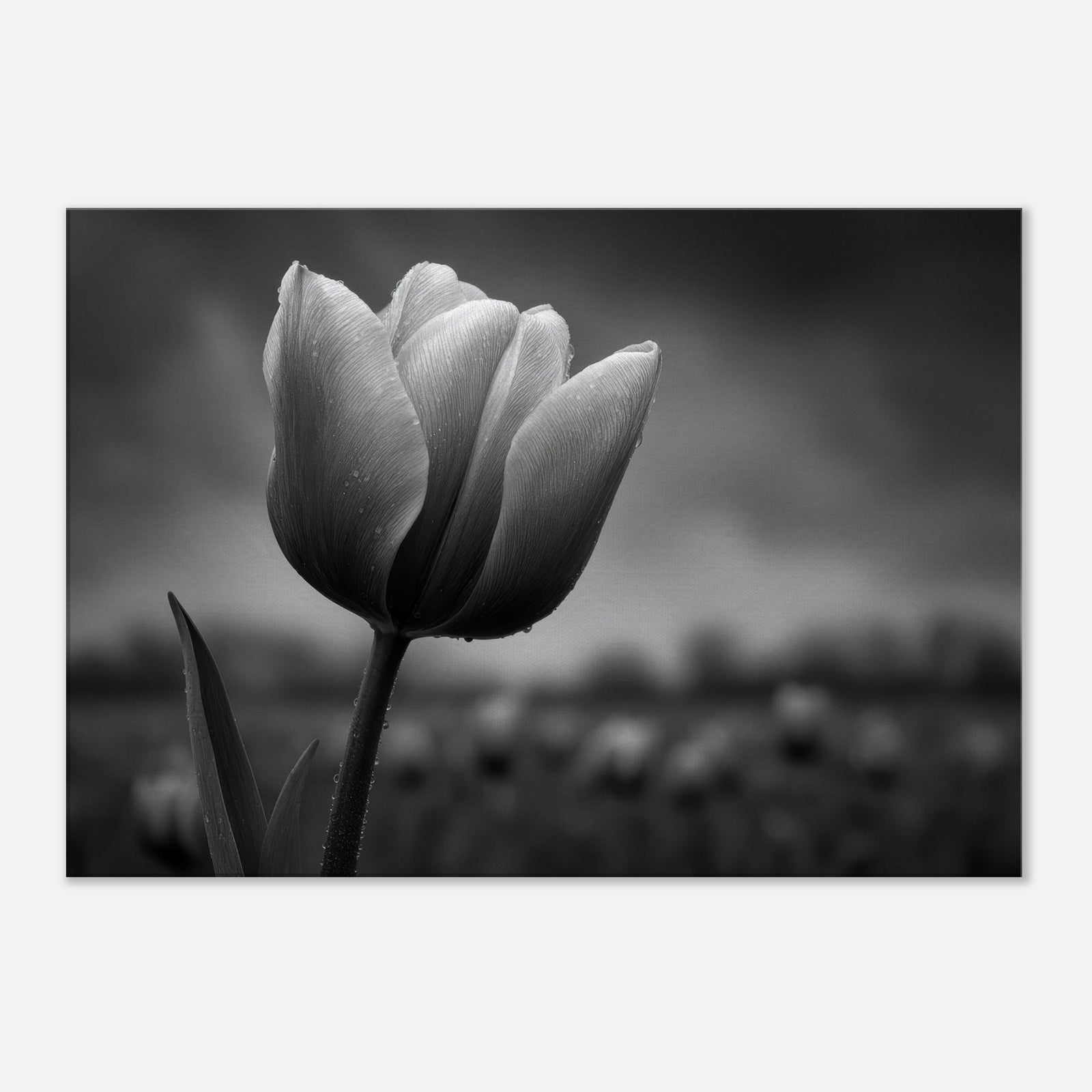 64302969-bbee-4786-bd78-168a1caa3888