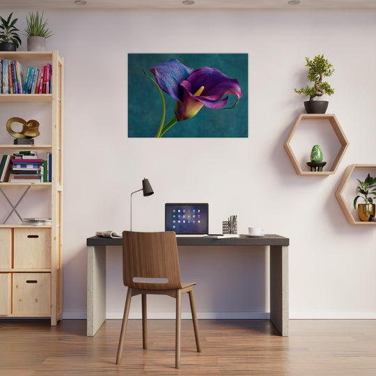 644de2d7-f4e8-4276-9331-9eb31fc95865