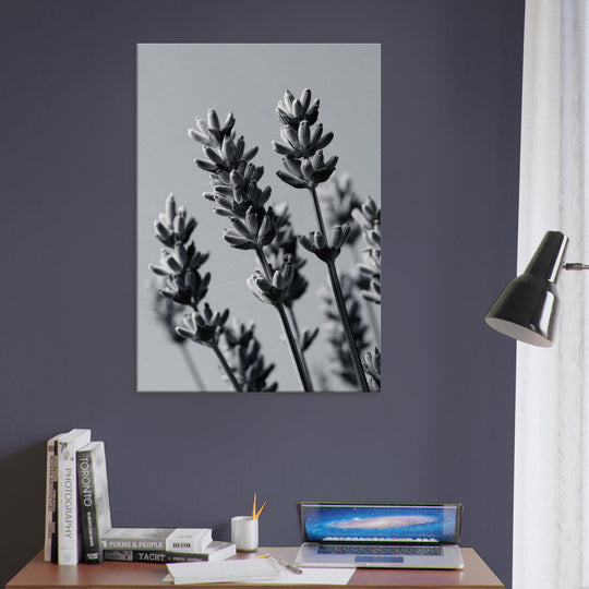 64bc67b8-666d-449c-af8b-c2019b592deb