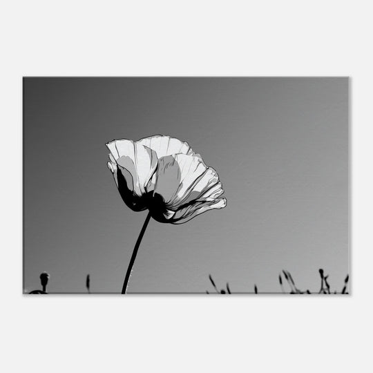 65c95eac-806d-44fd-9a68-d541f5e7af83