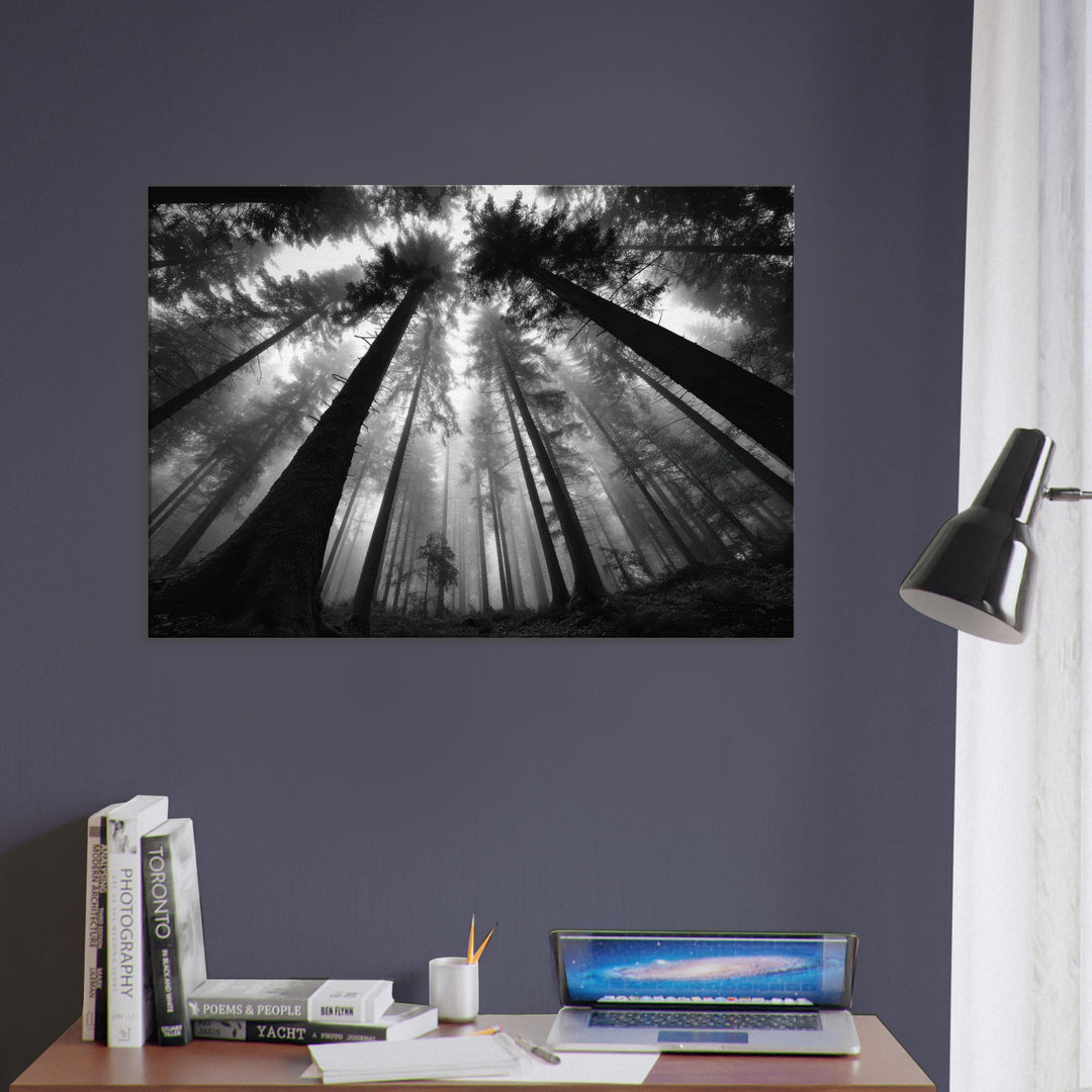 65de897b-dd69-4a22-b2a7-6c6893f3b941