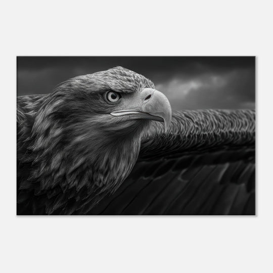 6639d937-d2e7-4fa9-8046-524f3f7750c0